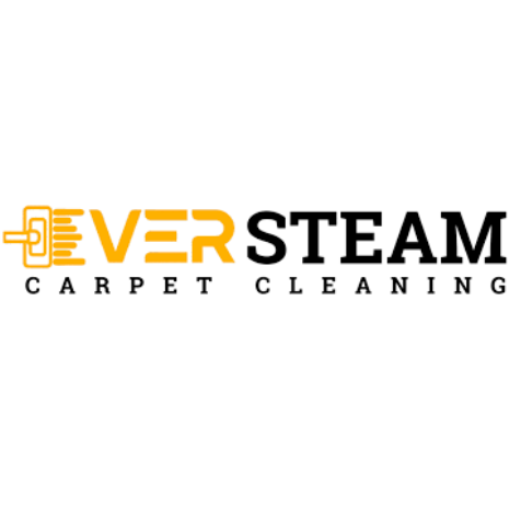Ever Steam Carpet